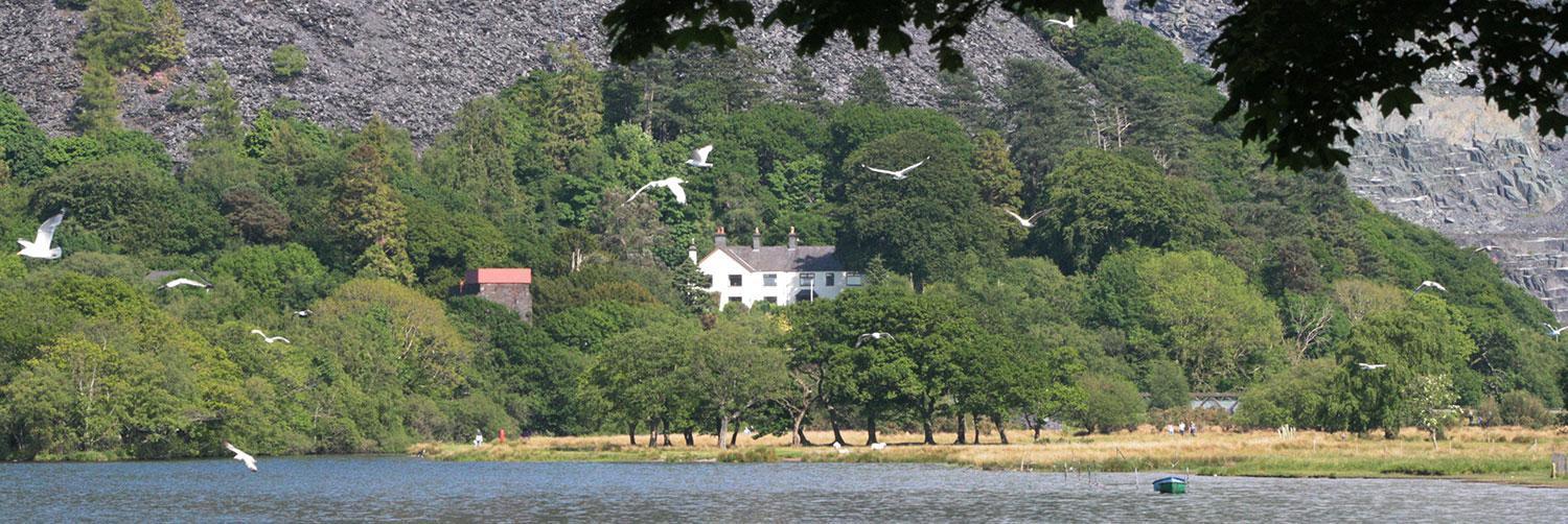 Padarn Apartment At Glanybala Holidays Llanberis Eksteriør billede
